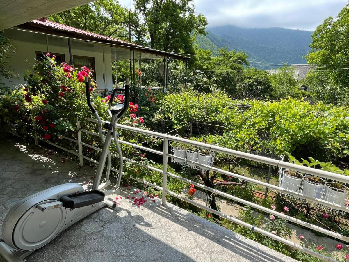 Koticha Villa Borjomi Exterior photo