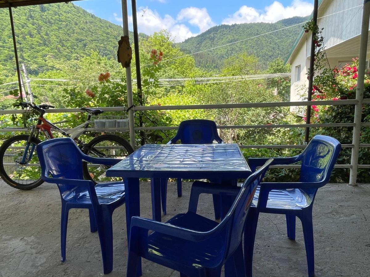 Koticha Villa Borjomi Exterior photo